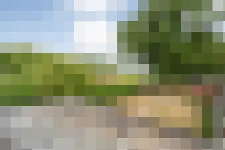Anerweg-Noord 134 Lutten thumbnail 41