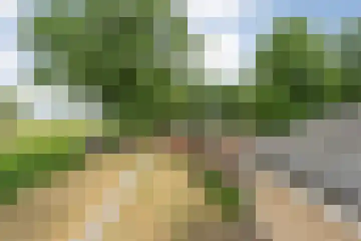 Anerweg-Noord 134 Lutten thumbnail 42