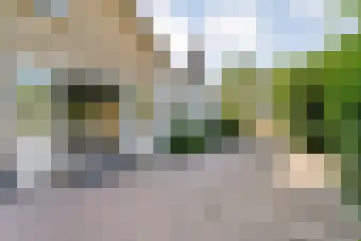 Anerweg-Noord 134 Lutten thumbnail 43