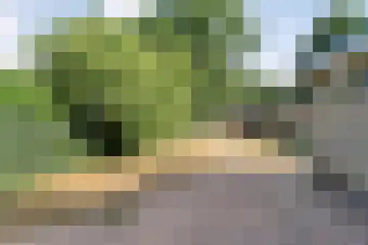 Anerweg-Noord 134 Lutten thumbnail 45