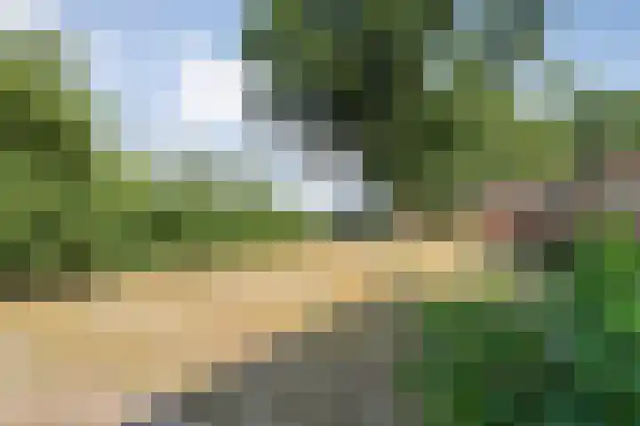 Anerweg-Noord 134 Lutten thumbnail 46