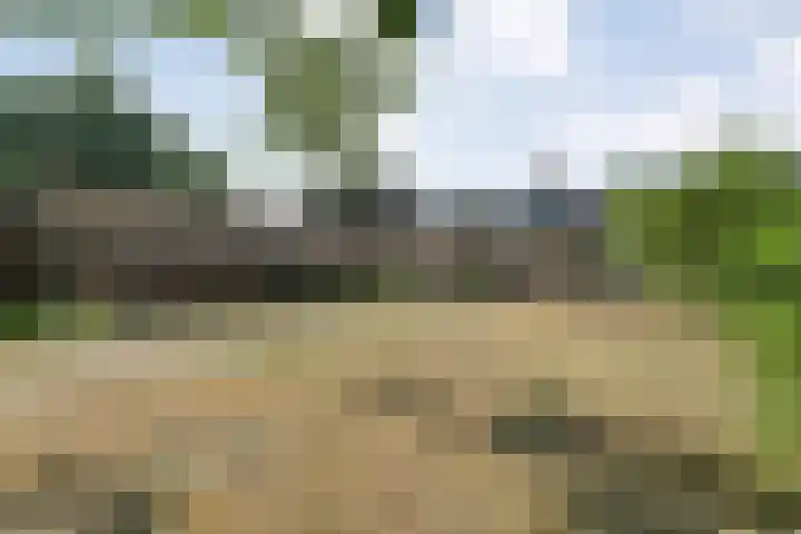 Anerweg-Noord 134 Lutten thumbnail 47