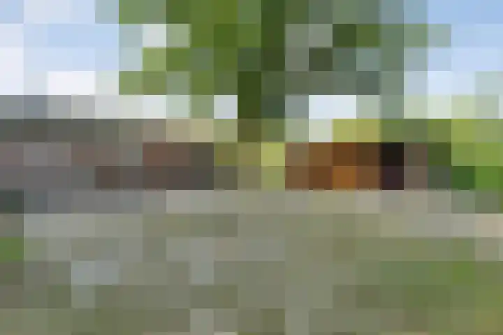 Anerweg-Noord 134 Lutten thumbnail 51