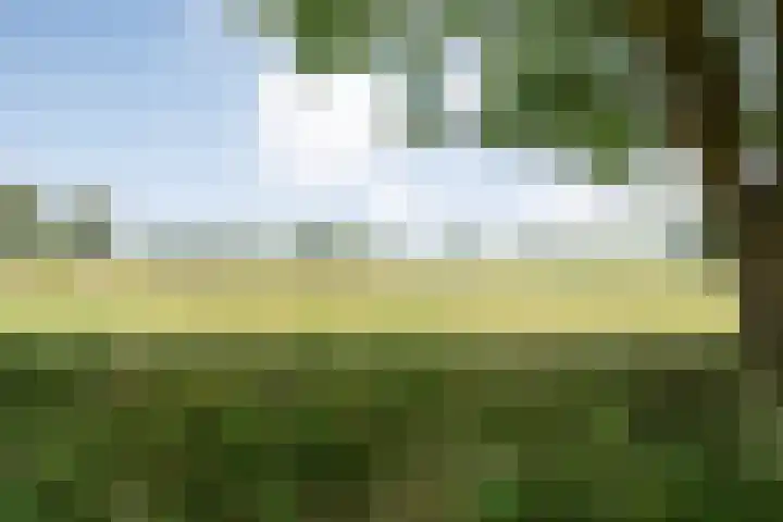 Anerweg-Noord 134 Lutten thumbnail 52