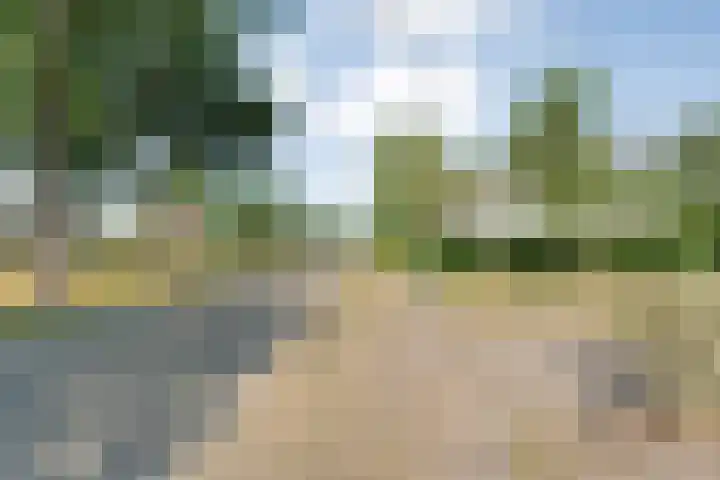 Anerweg-Noord 134 Lutten thumbnail 53