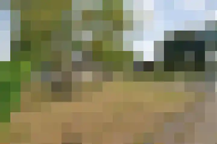 Anerweg-Noord 134 Lutten thumbnail 54