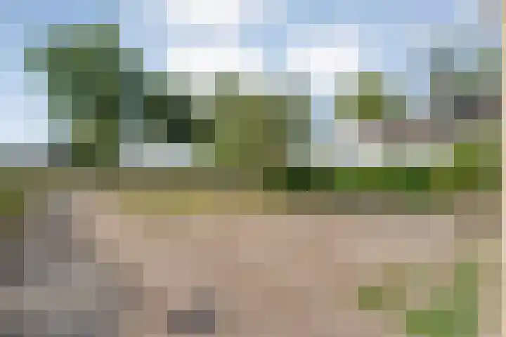 Anerweg-Noord 134 Lutten thumbnail 55