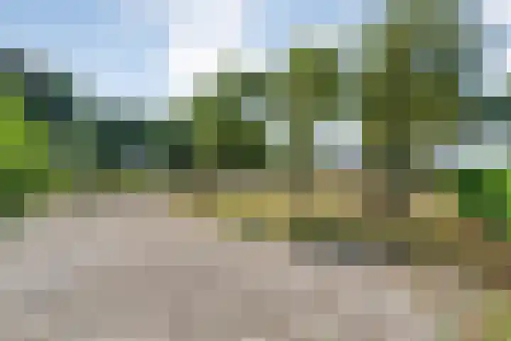 Anerweg-Noord 134 Lutten thumbnail 56