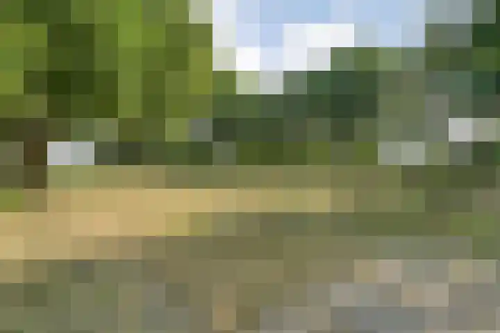 Anerweg-Noord 134 Lutten thumbnail 60