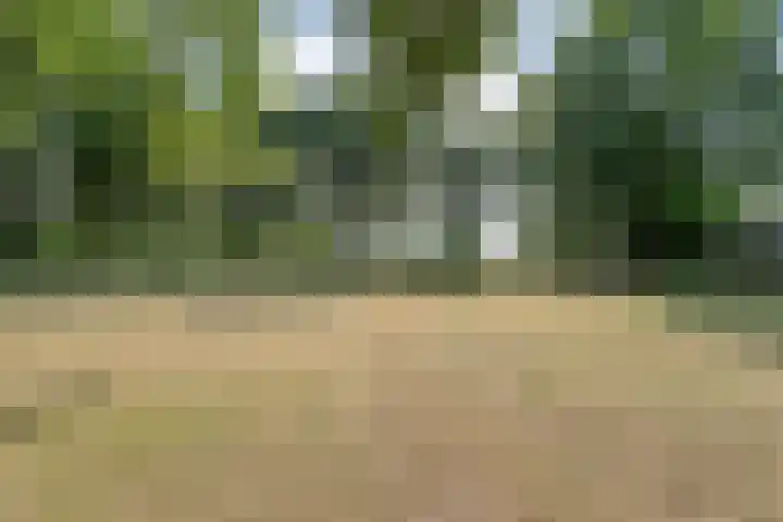 Anerweg-Noord 134 Lutten thumbnail 61