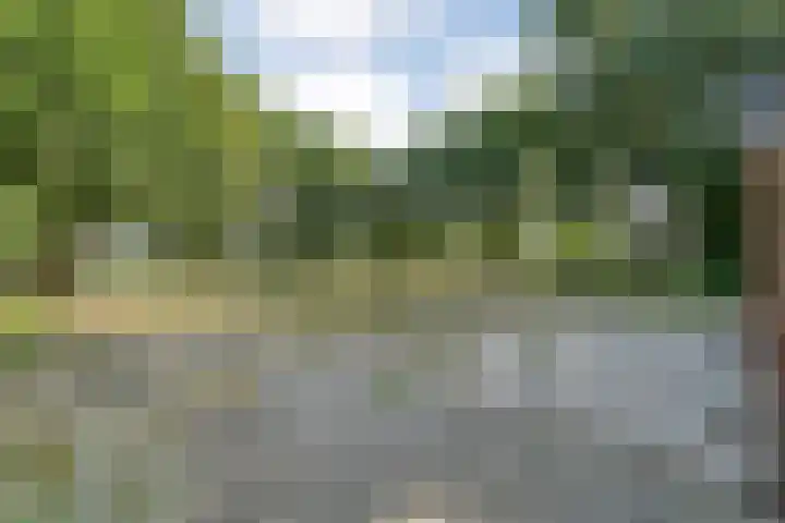 Anerweg-Noord 134 Lutten thumbnail 63