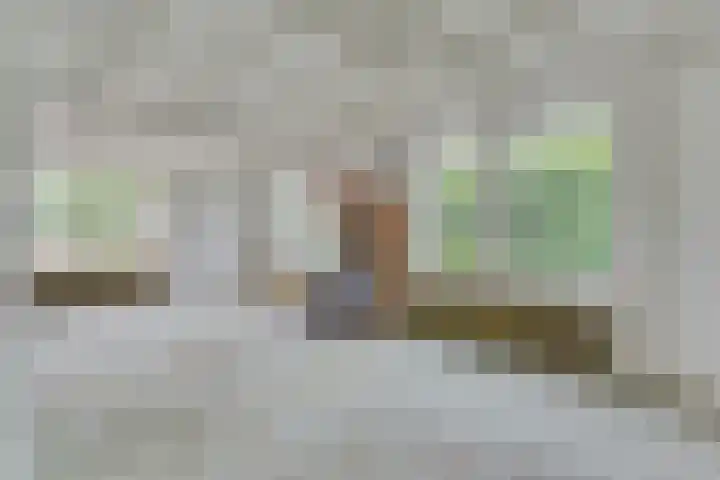 Anerweg-Noord 134 Lutten thumbnail 8