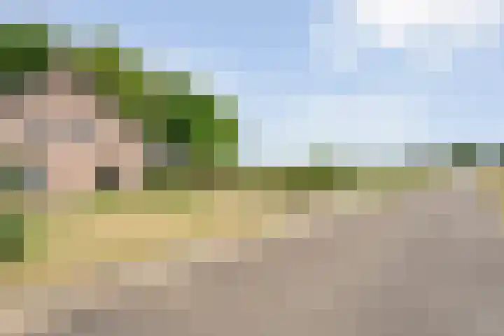 Anerweg-Noord 154 Lutten thumbnail 10