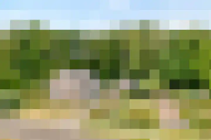Anerweg-Noord 154 Lutten thumbnail 5