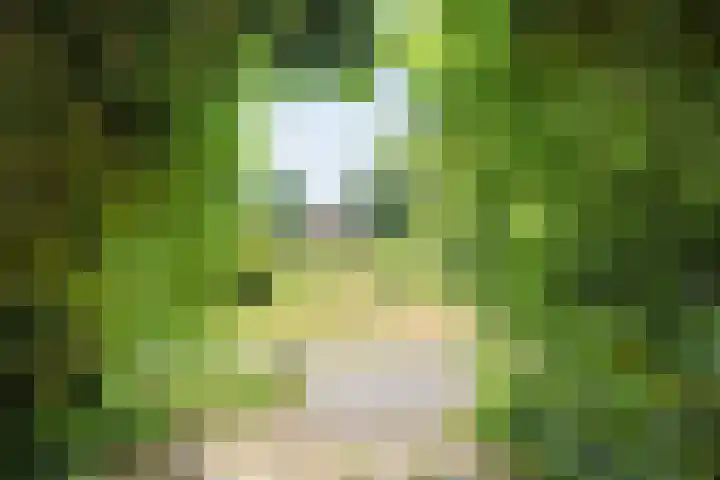 Anerweg-Noord 154 Lutten thumbnail 52