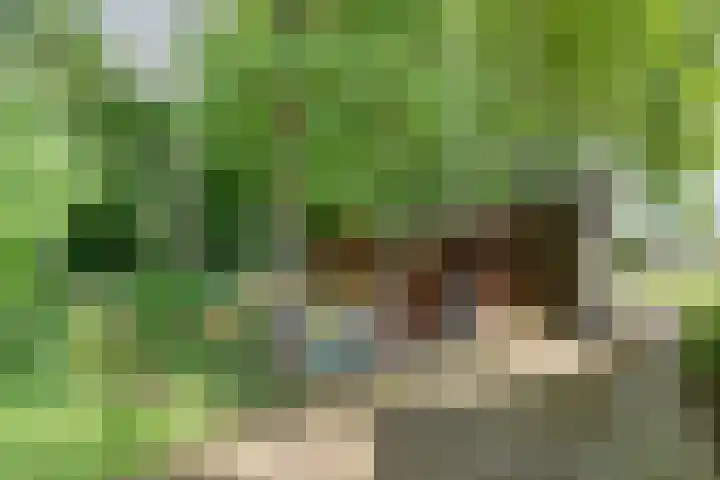 Anerweg-Noord 154 Lutten thumbnail 53