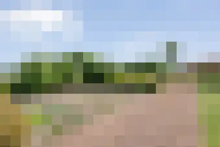 Anerweg-Noord 154 Lutten thumbnail 56