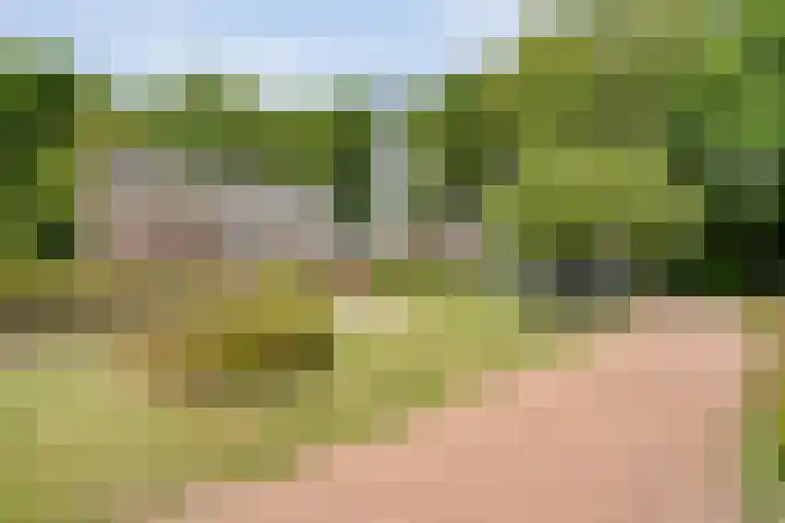 Anerweg-Noord 154 Lutten thumbnail 57