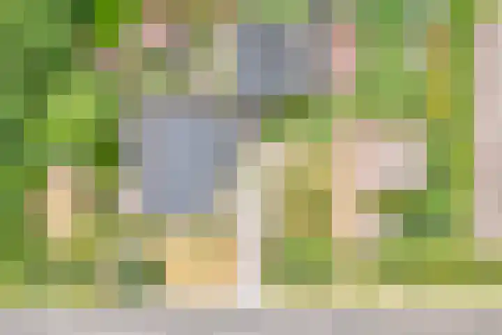 Anerweg-Noord 154 Lutten thumbnail 6