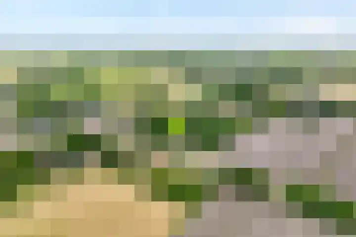 Anerweg-Noord 154 Lutten thumbnail 7