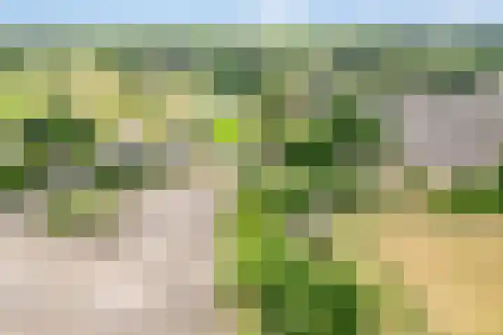 Anerweg-Noord 154 Lutten thumbnail 8