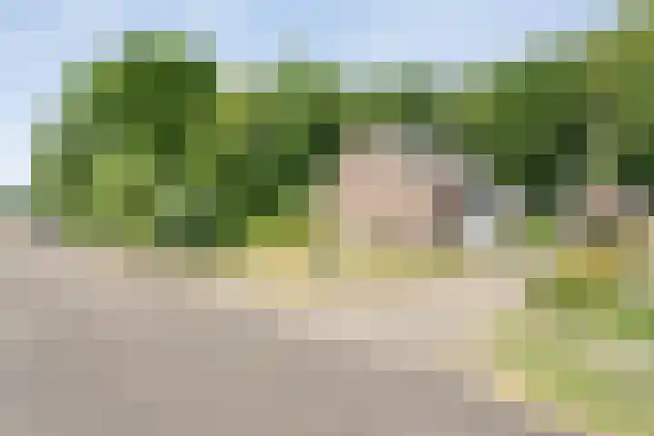 Anerweg-Noord 154 Lutten thumbnail 9