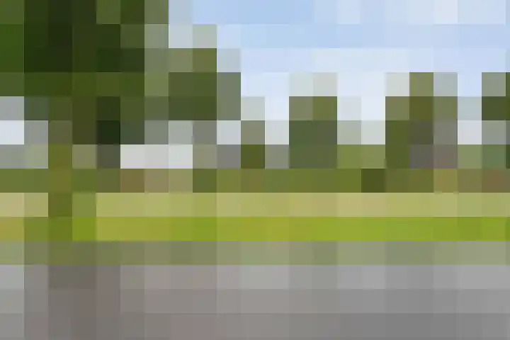 Anerweg-Noord 16 Lutten thumbnail 4