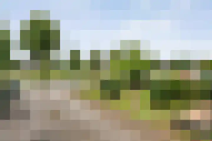 Anerweg-Noord 16 Lutten thumbnail 5