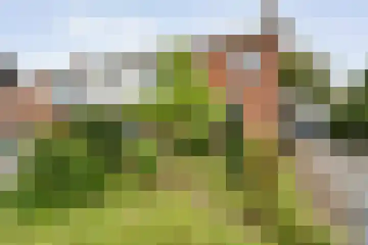 Anerweg-Noord 16 Lutten thumbnail 6