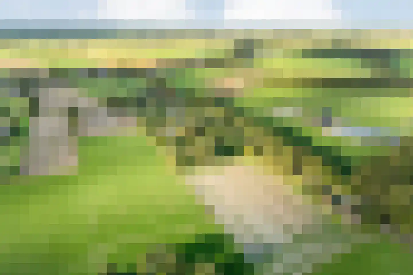 Anerweg-Zuid 71 Lutten thumbnail 4