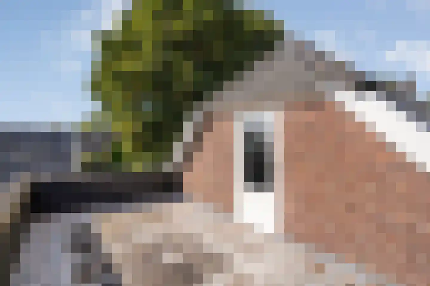 Anerweg-Zuid 71 Lutten thumbnail 64