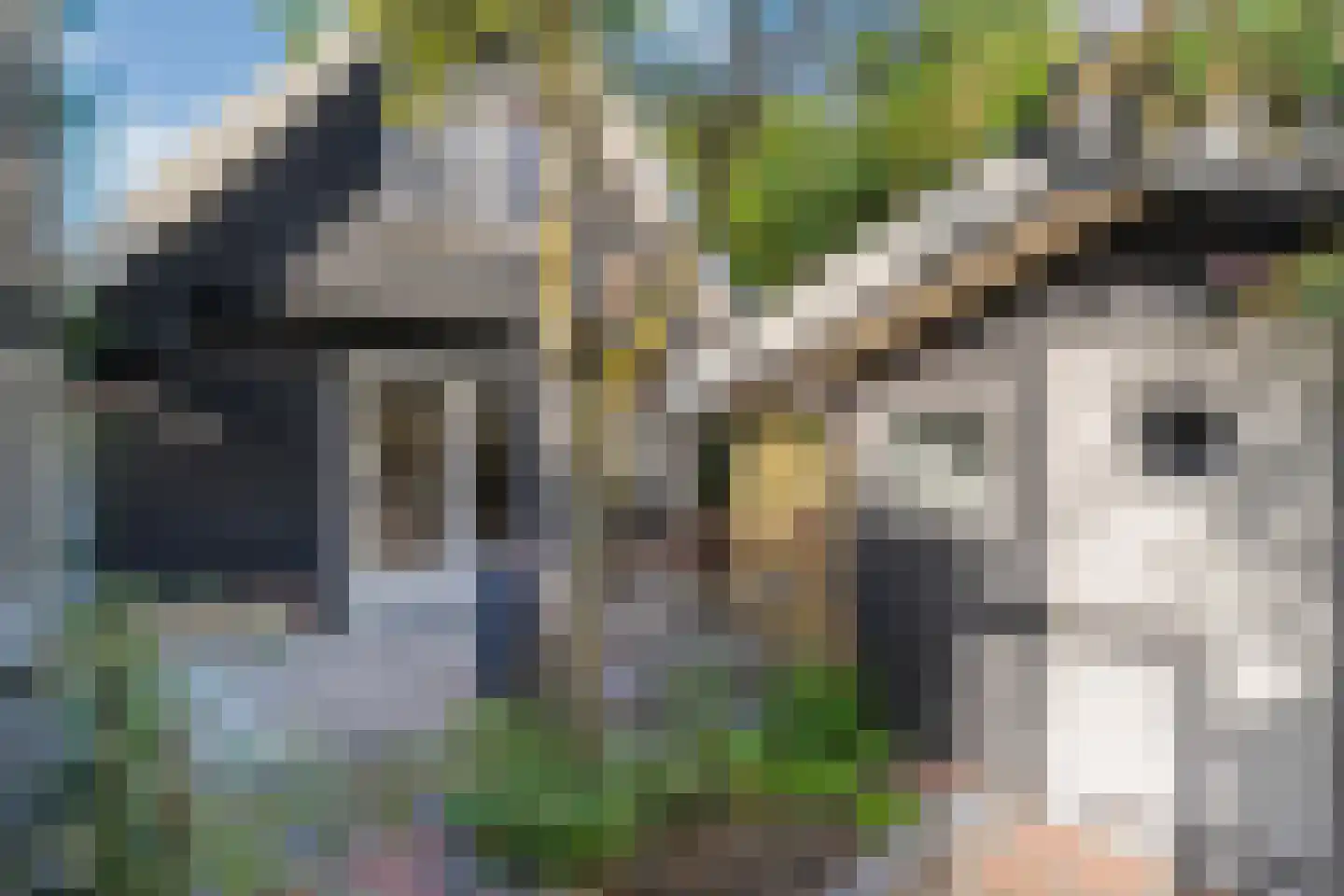 Anerweg-Zuid 71 Lutten thumbnail 78