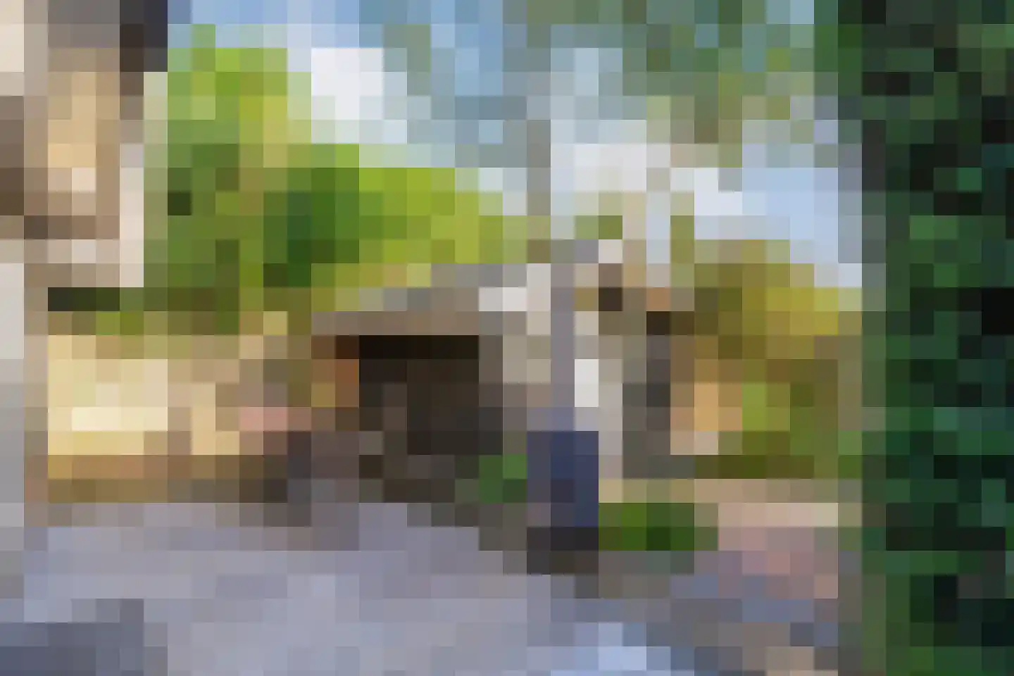 Anerweg-Zuid 71 Lutten thumbnail 81