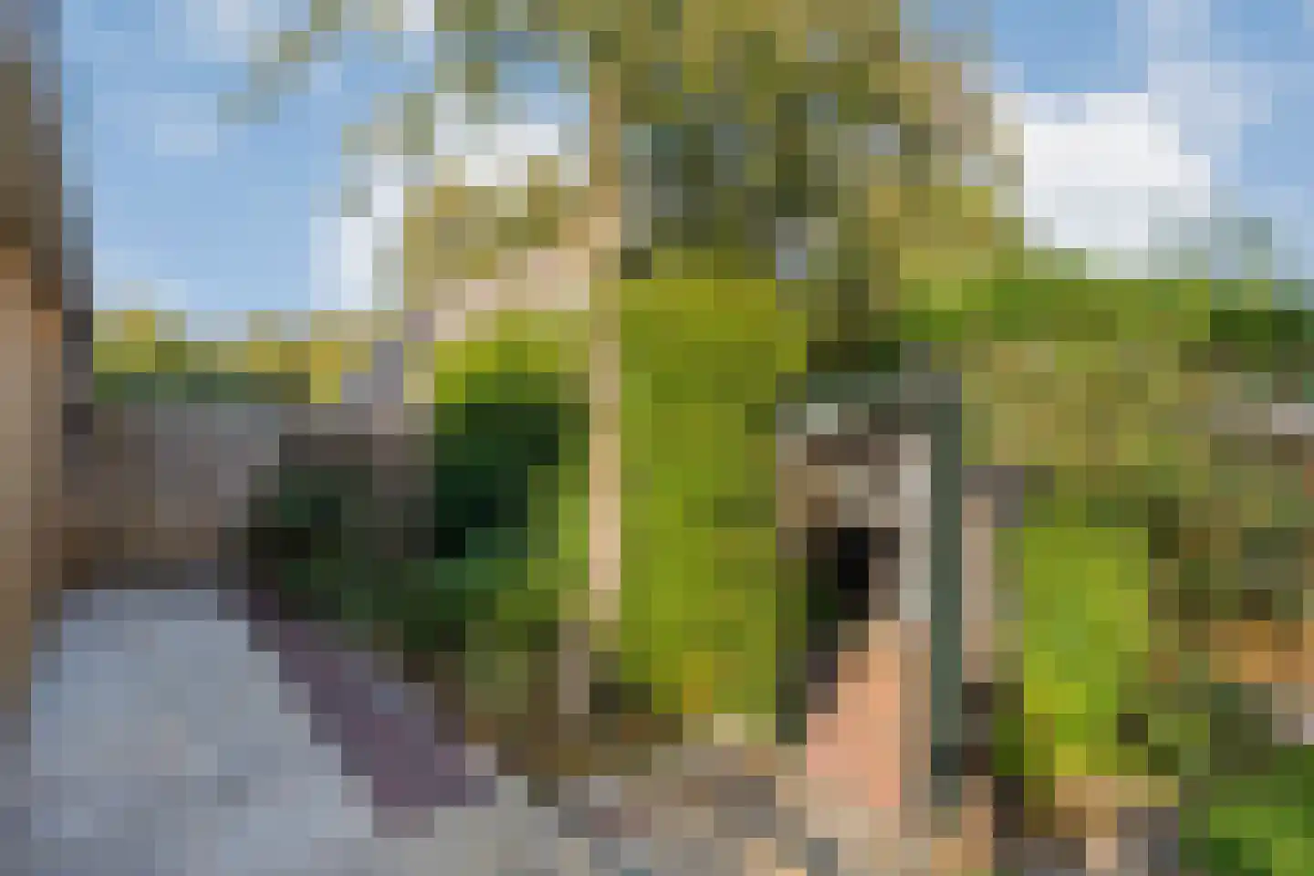 Anerweg-Zuid 71 Lutten thumbnail 82