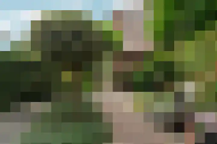 Anfieldroad 111 Amsterdam thumbnail 38