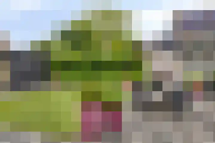 Angel 27 Oud Gastel thumbnail 34