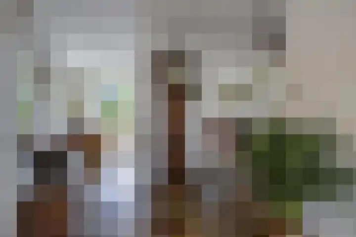 Angel 33 Oud Gastel thumbnail 13
