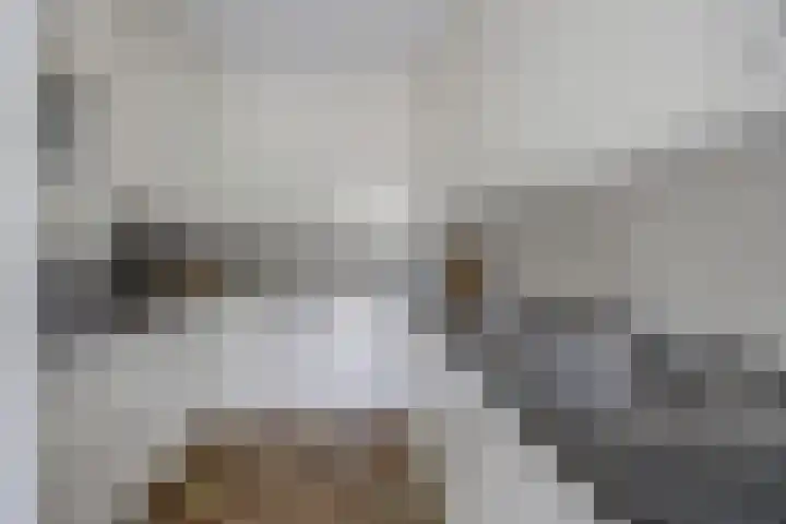 Angel 33 Oud Gastel thumbnail 23