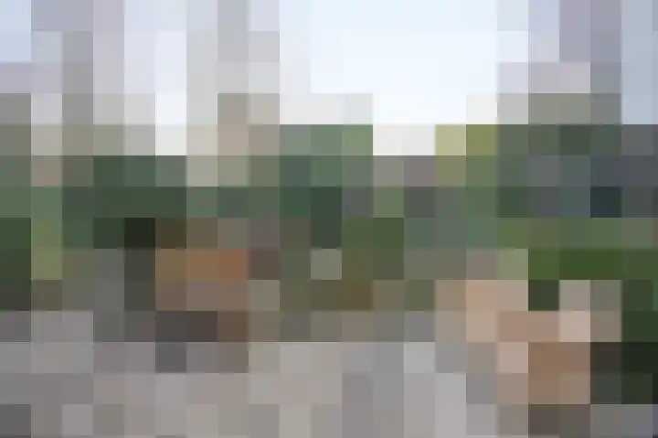 Angel 33 Oud Gastel thumbnail 42