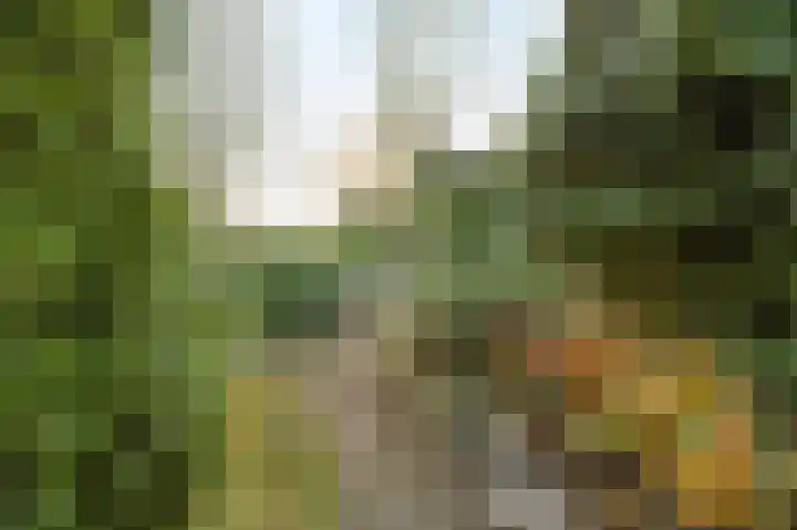 Angel 33 Oud Gastel thumbnail 43