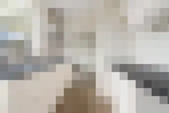 Angel 47 Oud Gastel thumbnail 14