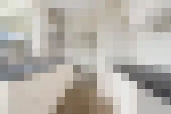 Angel 47 Oud Gastel thumbnail 4