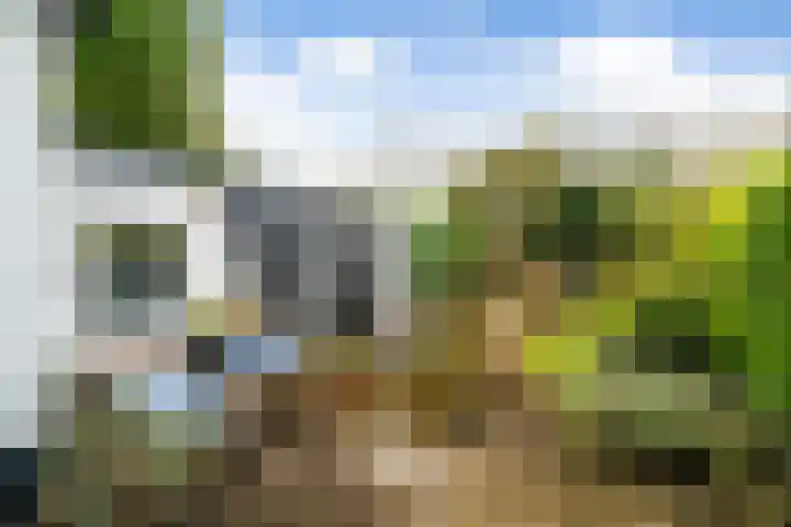 Foto van Angela de Koning