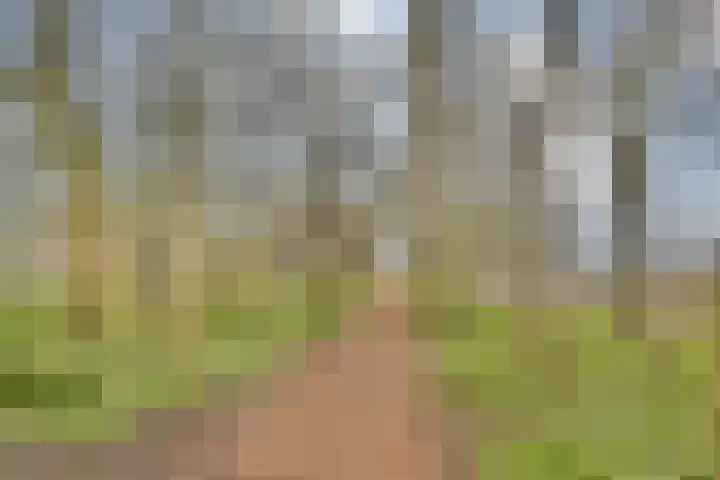 Angelenhorst 21 b Sassenheim thumbnail 21