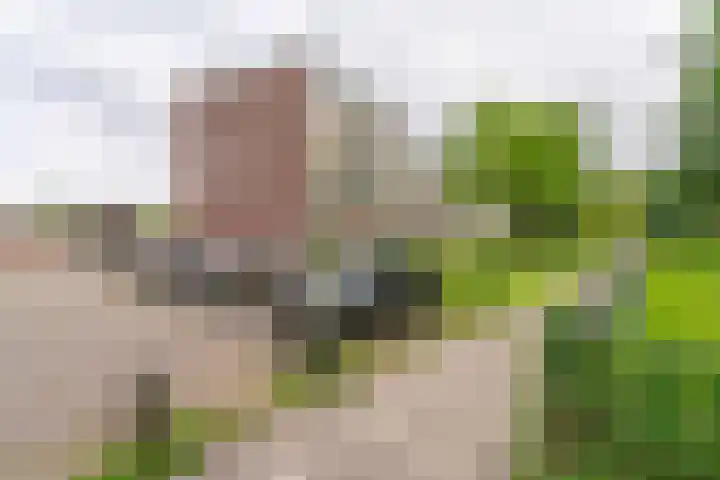 Angelenhorst 27 c Sassenheim thumbnail 24