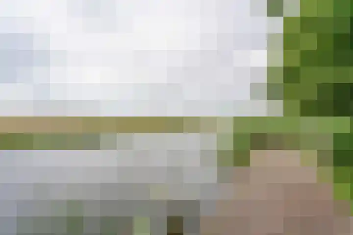 Angelenhorst 27 c Sassenheim thumbnail 25