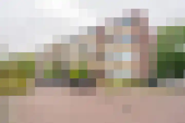 Angelenhorst 27 c Sassenheim thumbnail 36
