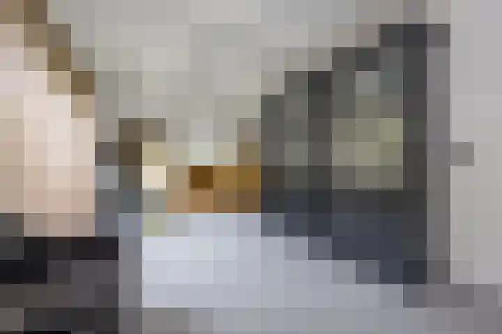 Angeler 4 Nijkerk thumbnail 10