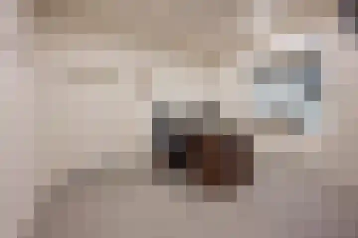 Angeler 4 Nijkerk thumbnail 12