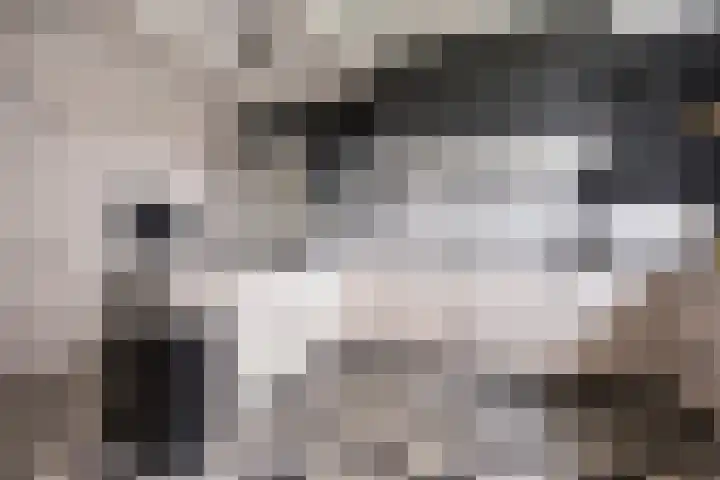 Angeler 4 Nijkerk thumbnail 20
